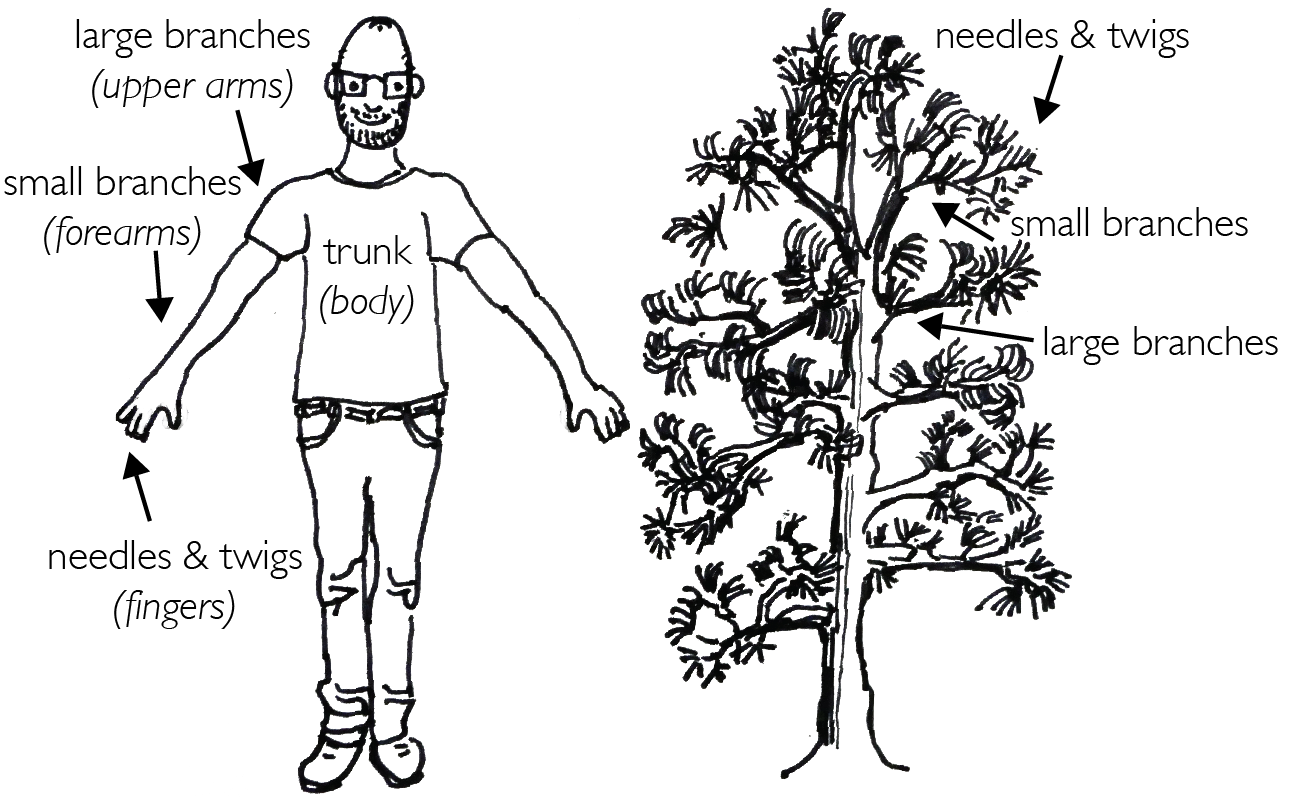 me as a tree