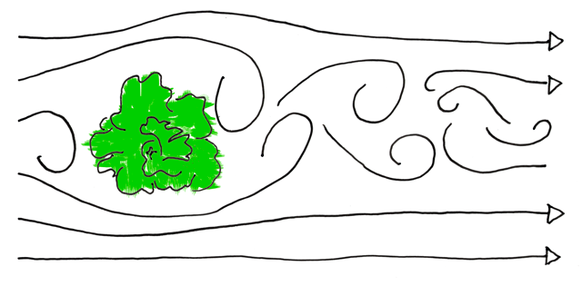 tree in the wind overhead